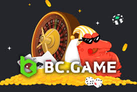 All You Need to Know About While Stake Casino