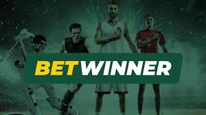BetWinner APK File Everything You Need to Know