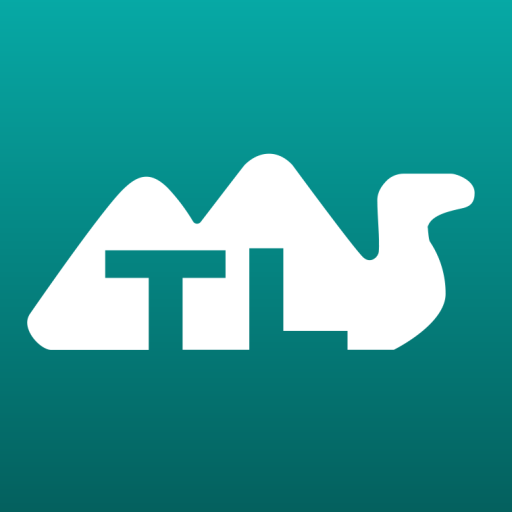 B2B Platform Turkey Wholesale Transforming Trade Dynamics